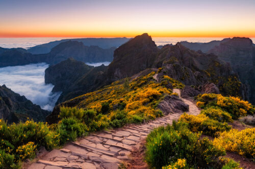 Photo trip to Madeira